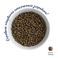 Корм сухий Home Food Adult Mini для активних дорослих собак і юніорів малих порід Ягня з рисом, 1,6 кг