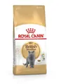 Корм сухий для кішок Royal Canin British Shorthair Adult породи британська короткошерста від 12 місяців, 2 кг