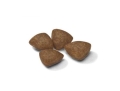 Корм сухой для собак Royal Canin Mini Starter мелких пород в период беременности и лактации, 1 кг