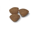 Корм сухой для щенков Royal Canin Puppy Mini мелких пород до 10 месяцев, 800 г