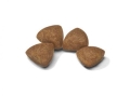 Корм сухой для собак Royal Canin X-Small Puppy мелких пород весом до 4 кг, до 10 месяцев, 500 г