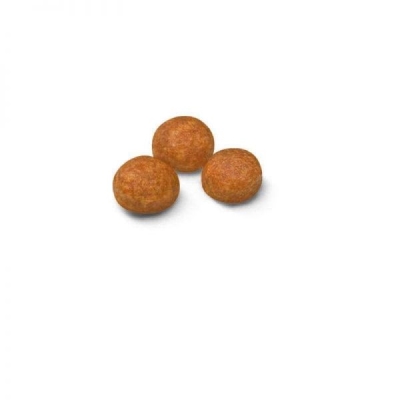 Корм сухий для собак Royal Canin XSMALL ADULT мініатюрних порід, 1,5 кг