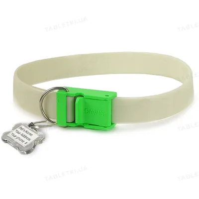 Нашийник Davis FurEver Brite Safety світиться для собак, розмір М, довжина 61 см, ширина 2,5 см