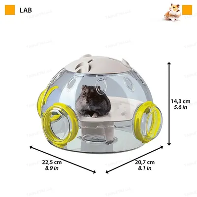 Центр спортивний для хом'яка Ferplast LAB прозорий