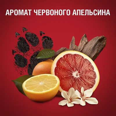 Дезодорант стік Old Spice Tigerclaw 48h для чоловіків, 50 мл