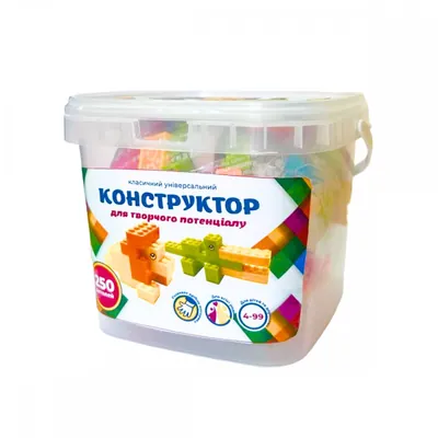 Конструктор DGT-Blocks універсальний, 250 деталей