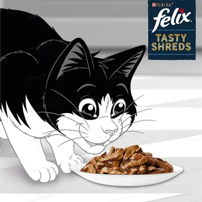 Корм вологий для кішок Purina Felix Tasty Shreds М'ясний набір, 4 штуки по 80 г