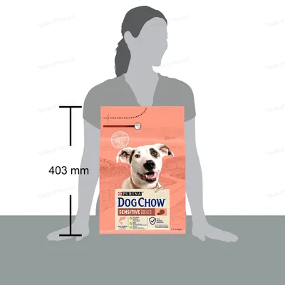 Корм сухий Purina Dog Chow Sensitive для дорослих собак із чутливим травленням, лосось, 2,5 кг