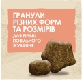 Корм сухий Purina Dog Chow Sensitive для дорослих собак із чутливим травленням, лосось, 2,5 кг