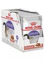 Корм влажный для стерилизованных кошек Royal Canin Sterilised Gravy от 1 года, кусочки в соусе, 12 штук по 85 г