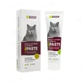ЕКО Паста Vitomax Мультивітамінний комплекс з Омега-3&6 для котів, 100 г
