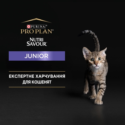Корм вологий для кошенят Purina Pro Plan Junior Nutrisavour Mousse with Turkey шматочки в паштеті з індичкою, 85 г