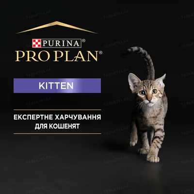 Корм вологий для кошенят Purina Pro Plan Junior паштет з куркою, 85 г