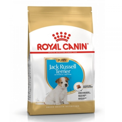 Корм сухой для щенков Royal Canin Jack Russel Terrier Junior до 10 месяцев, 0,5 кг