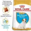 Корм сухой для щенков Royal Canin Jack Russel Terrier Junior до 10 месяцев, 0,5 кг