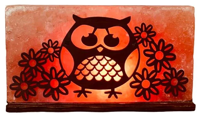Лампа соляна SaltLamp Сова з квіточками, 2 кг