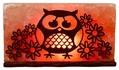 Лампа соляна SaltLamp Сова з квіточками, 2 кг