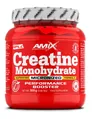 Креатин моногідрат Amix Nutrition Creatine Monohydrate Micronized без смаку, 300 г