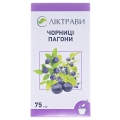 Черники побеги по 75 г в пач. с внут. пак.