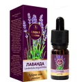 Олія ефірна Aroma kraina Premium Лаванда, з піпеткою, 10 мл