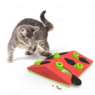 Іграшка інтерактивна для котів Nina Ottosson Puzzle & Play Melon Madness no69583 Кавун