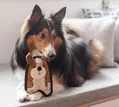 Іграшка-пищалка для собак Outward Hound oh67807 Щеня міні, коричнева
