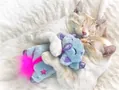 Іграшка-подушка для котів Petstages pt67832 Подушка Єдиноріг