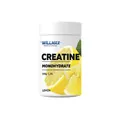 Креатин моногідрат Willmax Creatine Monohydrate лимон, 500 г