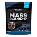 Гейнер Willmax Mass Gainer шоколад, 2 кг