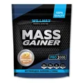 Гейнер Willmax Mass Gainer персиковий йогурт, 2 кг