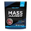 Гейнер Willmax Mass Gainer лісова ягода, 2 кг