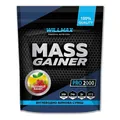 Гейнер Willmax Mass Gainer полуниця-банан, 2 кг