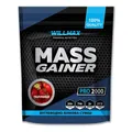 Гейнер Willmax Mass Gainer полуниця, 2 кг