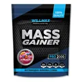 Гейнер Willmax Mass Gainer бабл гам, 2 кг