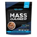 Гейнер Willmax Mass Gainer шоколадне морозиво, 2 кг