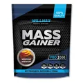 Гейнер Willmax Mass Gainer шоколад-апельсин, 2 кг