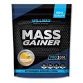 Гейнер Willmax Mass Gainer манговий сорбет, 2 кг