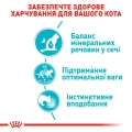 Корм влажный для кошек Royal Canin Urinary Care профилактика образования камней в мочевыводящих путях, соус, 85 г