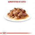 Корм вологий для кішок Royal Canin Urinary Care профілактики утворення каменів в сечовивідних шляхах, соус, 85 г