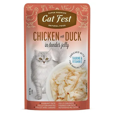 Корм вологий для котів Pet Fest Cat Fest куряче і качине філе в желе, 70 г