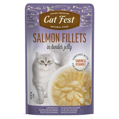 Корм вологий для котів Pet Fest Cat Fest лосось в желе, 70 г