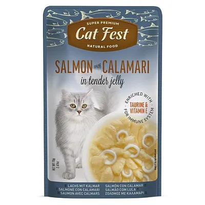 Корм вологий для котів Pet Fest Cat Fest лосось з кальмаром в желе, 70 г