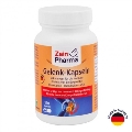 Глюкозамин и Хондроитин ZeinPharma капсулы №120