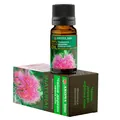 Олія ефірна Aroma Inter Чайне дерево, 10 мл