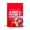 Протеїн сироватковий змішаний Scitec Nutrition 100% Whey Protein Professional ківі-банан, 500 г