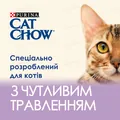 Корм вологий для кішок з чутливим травленням Purina Cat Chow шматочки в желе з лососем та цукіні, 85 г