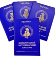 Паспорт ветеринарный Зооветконтинент международный синий