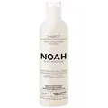 Шампунь Noah Fortifying Shampoo With Black Pepper And Peppermint зміцнювальний для ослабленого волосся з чорним перцем і м'ятою, 250 мл