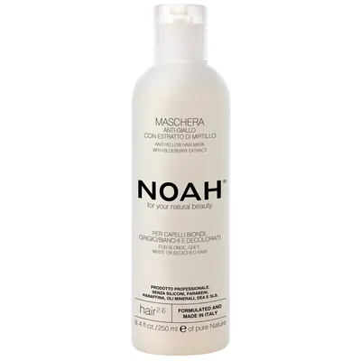 Маска для волосся Noah Anti-Yellow Hair Mask для нейтралізації жовтизни з екстрактом чорниці, 250 мл