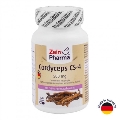 Кордицепс CS-4 ZeinPharma капсулы по 500 мг №120
